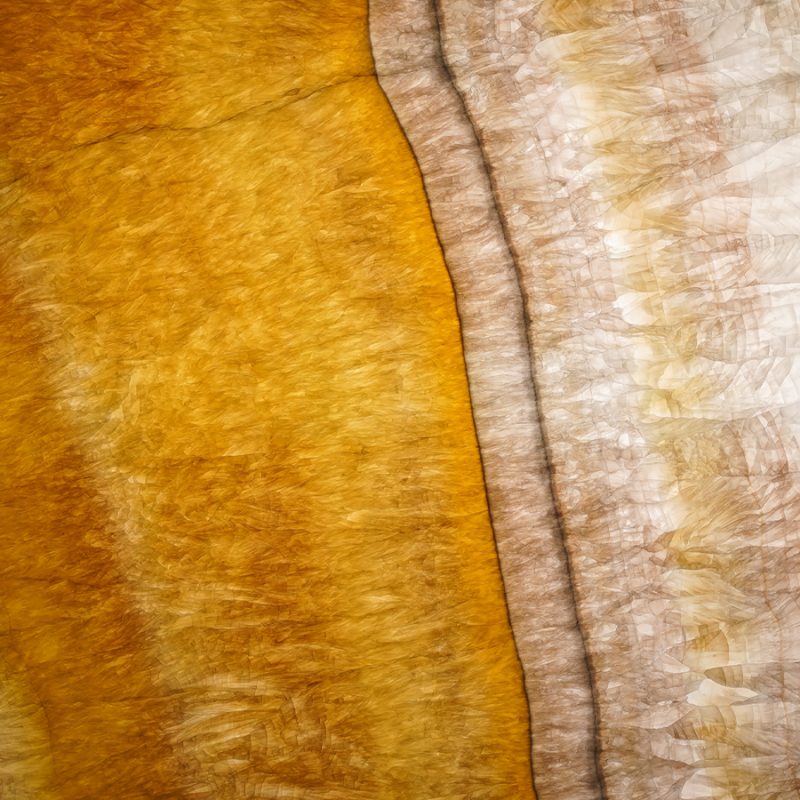 golden-vein